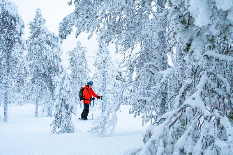 Suomu Chalets Suomutunturi エクステリア 写真